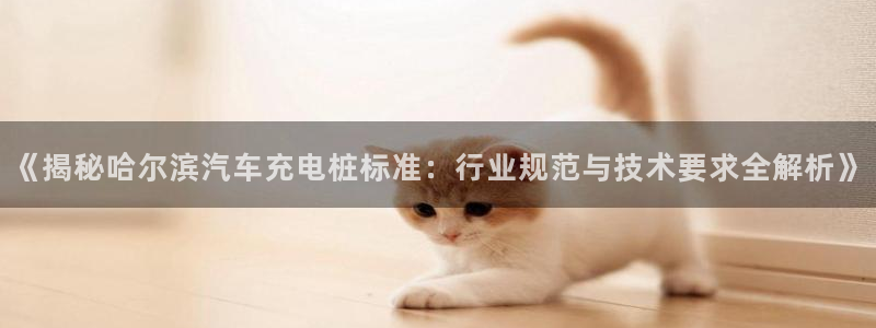 威廉希尓指数：《揭秘哈尔滨汽车充电桩标准：行业规范与技术要求全解析》