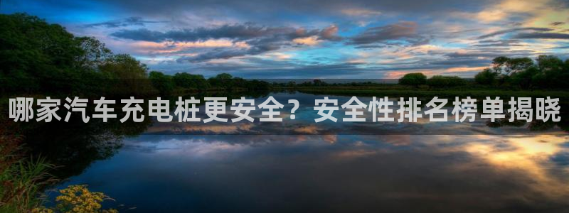 威廉健身管理咨询有限公司：哪家汽车充电桩更安全？安全性排名榜单揭晓