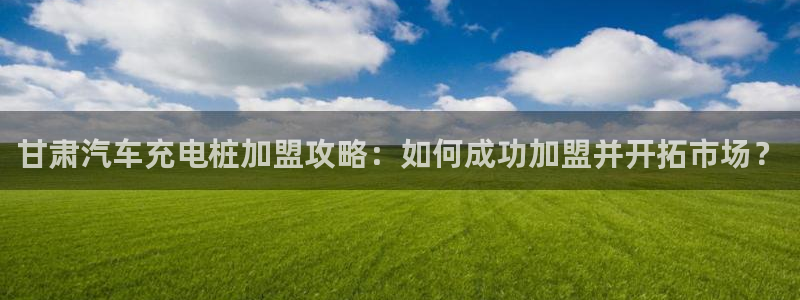威廉足球 厉害吗：甘肃汽车充电桩加盟攻略：如何成功加盟并开拓市场？