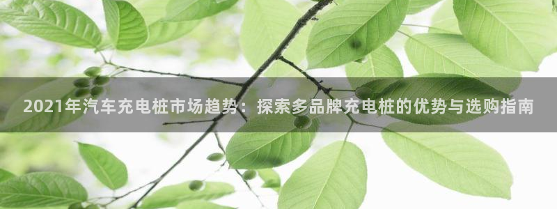 威廉官网2023澳门马开奖查询入口：2021年汽车充电桩市场趋势：探索多品牌充电桩的优势与选购指南