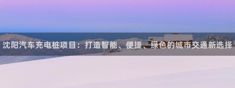 威廉nba：沈阳汽车充电桩项目：打造智能、便捷、绿色的城市交通新选择