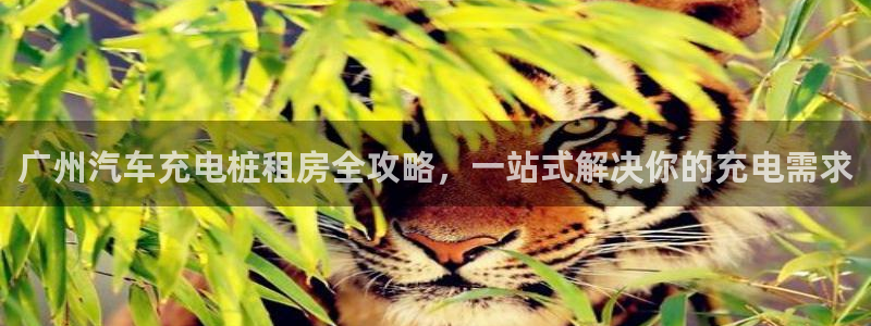 巴甲威廉希尔初赔研究：广州汽车充电桩租房全攻略，一站式解决你的充电需求