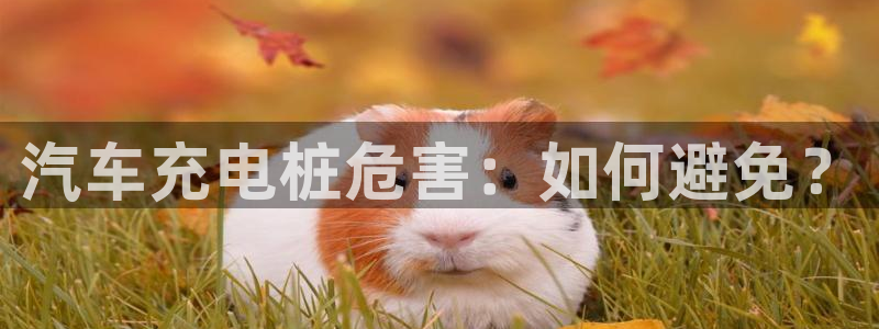 威廉希尔公司百度百科：汽车充电桩危害：如何避免？