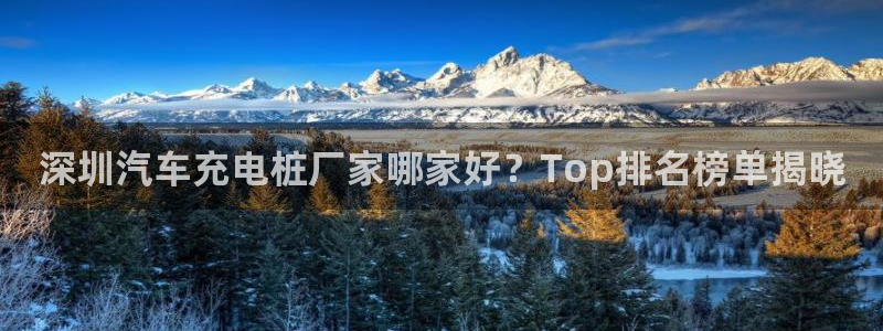 威廉希尔让球胜负平：深圳汽车充电桩厂家哪家好？Top排名榜单揭晓