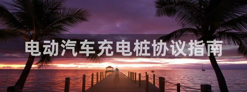 威廉客户端app下载官网：电动汽车充电桩协议指南