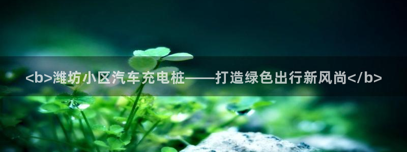 威廉国际公司