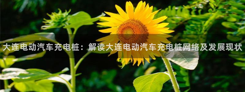 威廉希尔官网地址：大连电动汽车充电桩：解读大连电动汽车充电桩网络及发展现状