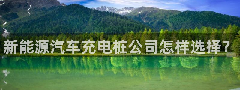 威廉希尔 1.33 4.40 6.00：新能源汽车充电桩公司怎样选择？