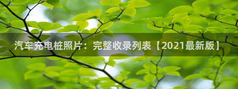 威廉希尔体系标准表：汽车充电桩照片：完整收录列表【2021最新版】