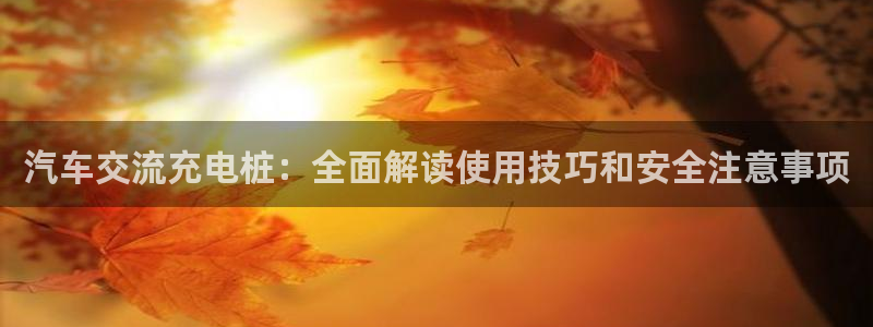 威廉公司官网：汽车交流充电桩：全面解读使用技巧和安全注意事项