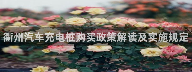 法乙威廉希尔初赔研究