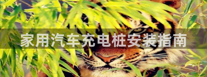 威廉希尔williamhill官网世界杯