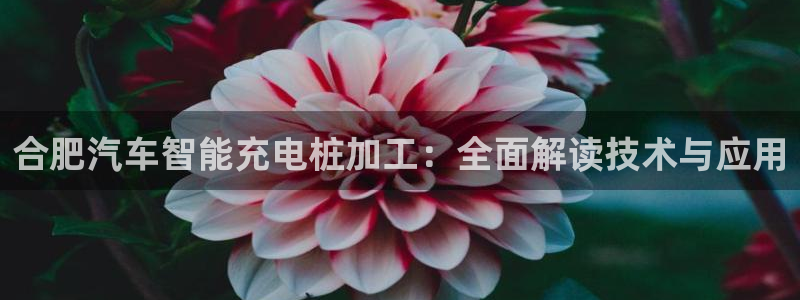 威廉和澳门
