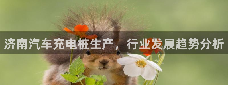 威廉希尔地区