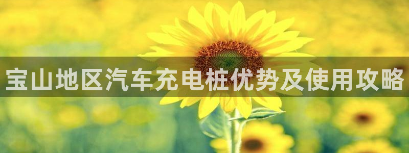 威廉公司官网