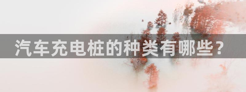 威廉集锦：汽车充电桩的种类有哪些？