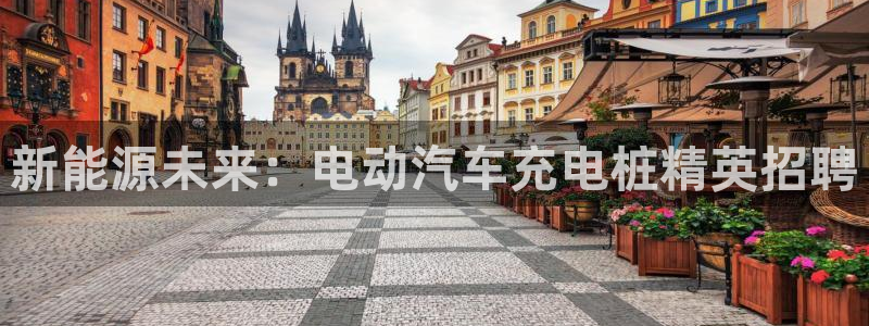 威廉体育官方app下载苹果：新能源未来：电动汽车充电桩精英招聘