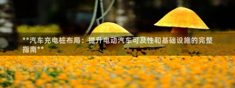 威廉国际app下载安卓：**汽车充电桩布局：提升电动汽车可及性和基础设施的完整
指南**