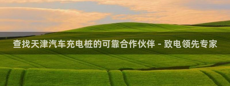 威廉希尔不开盘的比赛是哪一场：查找天津汽车充电桩的可靠合作伙伴 - 致电领先专家