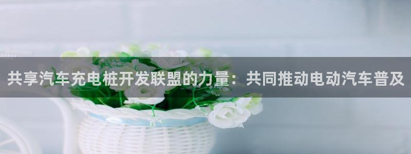 威廉希尔官网是多少：共享汽车充电桩开发联盟的力量：共同推动电动汽车普及
