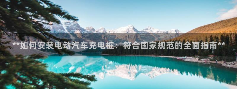 威廉希尔地区：**如何安装电动汽车充电桩：符合国家规范的全面指南**