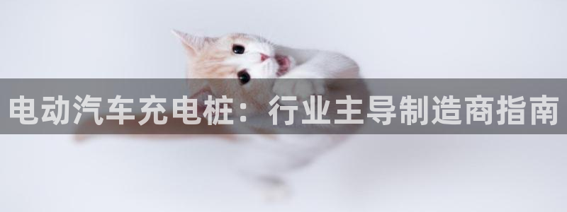 威廉国际提现是一个什么平台：电动汽车充电桩：行业主导制造商指南