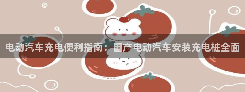 威廉希尔500欧洲指数怎么看：电动汽车充电便利指南：国产电动汽车安装充电桩全面