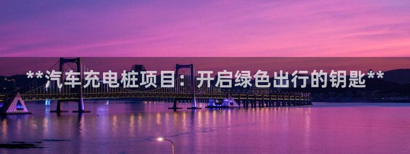 威廉希尔对比：**汽车充电桩项目：开启绿色出行的钥匙**