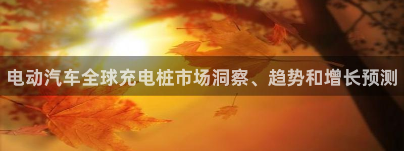 威廉希尔在国内能用吗：电动汽车全球充电桩市场洞察、趋势和增长预测