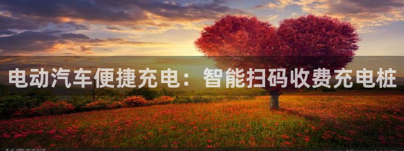 威廉希尔it：电动汽车便捷充电：智能扫码收费充电桩