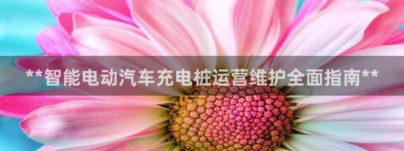 威廉希尔进y b3 3。me：**智能电动汽车充电桩运营维护全面指南**
