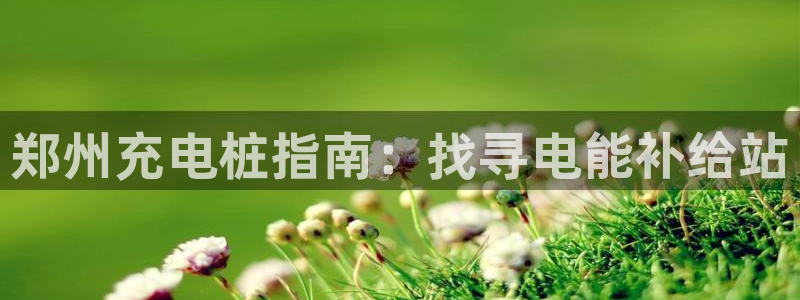 威廉希尔是什么水平的公司啊：郑州充电桩指南：找寻电能补给站