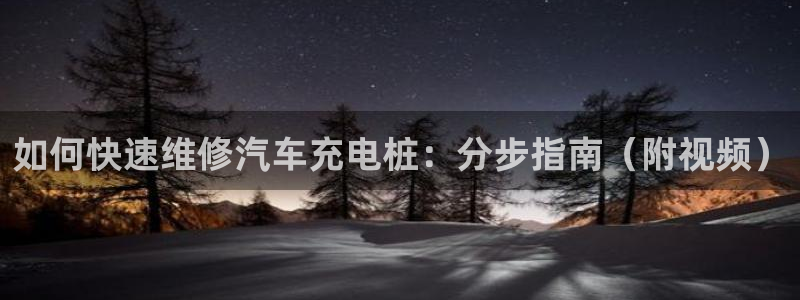 威廉与澳门的关系：如何快速维修汽车充电桩：分步指南（附视频）