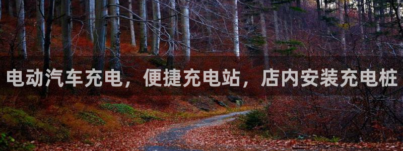 威廉体育官方app下载安卓苹果：电动汽车充电，便捷充电站，店内安装充电桩