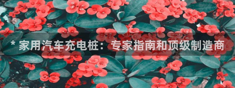 威廉希尔中国官网：* 家用汽车充电桩：专家指南和顶级制造商