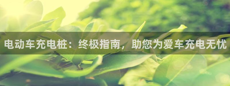威廉希尔洗碗机：电动车充电桩：终极指南，助您为爱车充电无忧