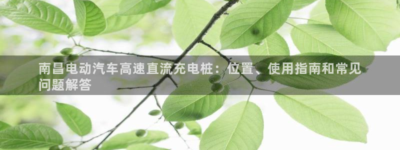 威廉希尔和inter：南昌电动汽车高速直流充电桩：位置、使用指南和常见
问题解答