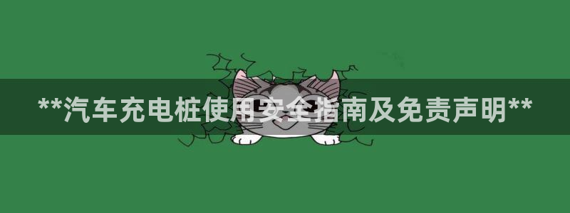 威廉希尔参考interwetten：**汽车充电桩使用安全指南及免责声明**