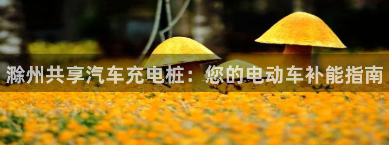 威廉希尔1.44 4.20 7.50：滁州共享汽车充电桩：您的电动车补能指南
