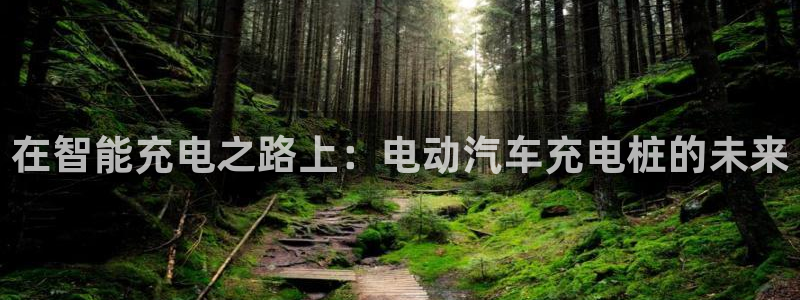 威廉希尔竞彩欧指：在智能充电之路上：电动汽车充电桩的未来