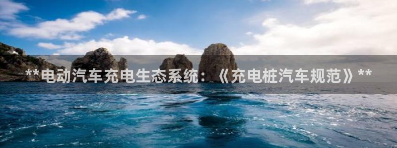 威廉希尔1.91有什么说法：**电动汽车充电生态系统：《充电桩汽车规范》**