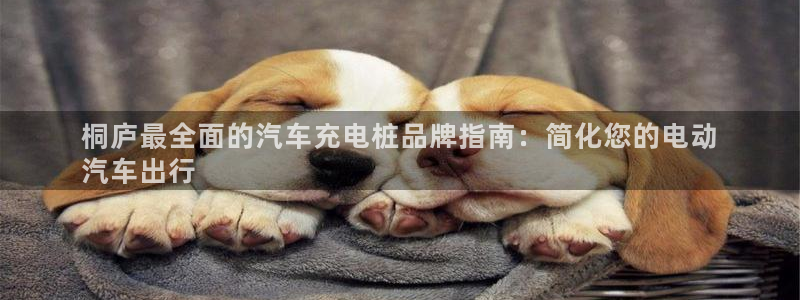 威廉希尔是什么水平的公司啊：桐庐最全面的汽车充电桩品牌指南：简化您的电动
汽车出行