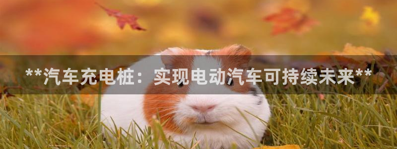 威廉足球软件下载安装：**汽车充电桩：实现电动汽车可持续未来**