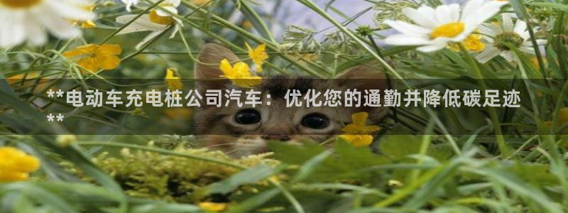 威廉希尔西甲1.44,4.6,6.5什么赛果：**电动车充电桩公司汽车：优化您的通勤并降低碳足迹
**