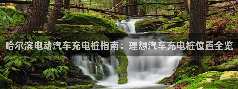 威廉希尔网站取不了钱：哈尔滨电动汽车充电桩指南：理想汽车充电桩位置全览