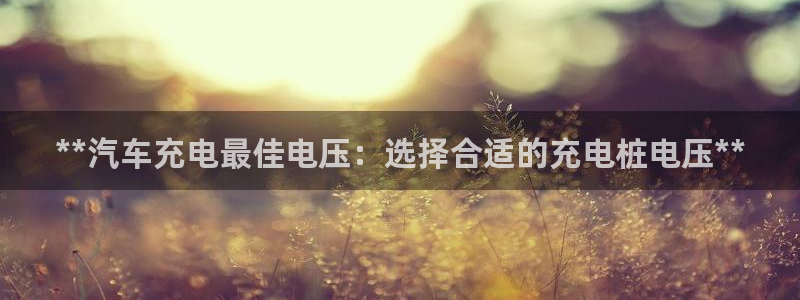 威廉比分网：**汽车充电最佳电压：选择合适的充电桩电压**