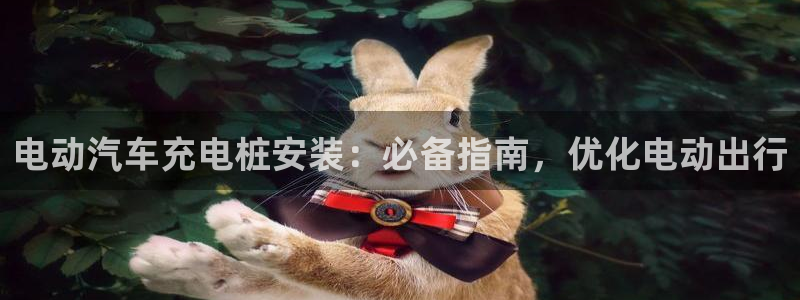 意甲的威廉希尔：电动汽车充电桩安装：必备指南，优化电动出行