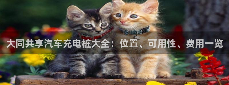 威廉软件：大同共享汽车充电桩大全：位置、可用性、费用一览