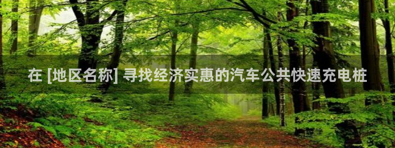 威廉希尔中国欢迎你：在 [地区名称] 寻找经济实惠的汽车公共快速充电桩