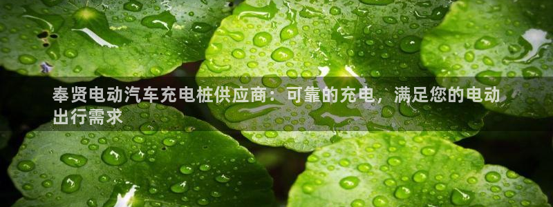 威廉希尔销售时间：奉贤电动汽车充电桩供应商：可靠的充电，满足您的电动
出行需求